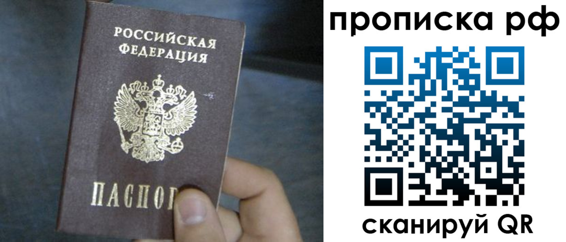 временная регистрация недорого в Курске
